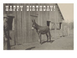 Happy Birthday, Mule and Man - Giclee Baskı