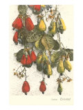 Cashew Plants, Trinidad Lámina giclée Cashew Plants, Trinidad Lámina giclée