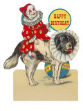 Happy Birthday, Clown on St. Bernard Prints