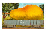 Giant Pear in Rail Car Lámina giclée