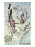 Fairies Riding Dragonflies and Bees Posters