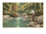 Trout Fishing in Creek Prints