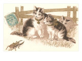 Cats Watching Beetle Impressão giclée Cats Watching Beetle Impressão giclée