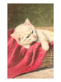 White Kitten with Red Cloth Impressão giclée White Kitten with Red Cloth Impressão giclée