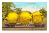 Giant Lemons on Flatbed Photo