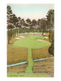 Rendering of Golf Course, 184 Yards, Par 3 Giclee Print Rendering of Golf Course, 184 Yards, Par 3 Giclee Print