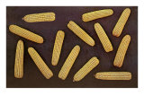 Many Ears of Corn Poster