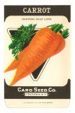 Carrot Seed Packet Prints