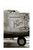 Nose Art, Ho Hum, Pin-Up Photo