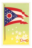 Flag of Ohio Print
