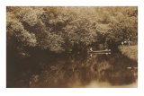 Canoe in Shady Creek Posters