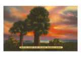 Sunset, Brunswick Georgia Lámina giclée