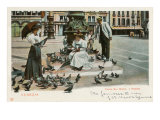 Pigeons in St. Mark's Square, Venice, Italy Prints