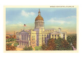 State Capitol, Atlanta, Georgia Print