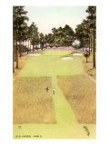 Rendering of Golf Course, 212 Yards, Par 3 Giclee Print Rendering of Golf Course, 212 Yards, Par 3 Giclee Print