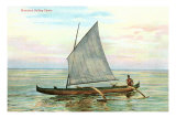 Hawaiian Sailing Canoe Photo