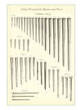 Common Nails - Giclee Baskı