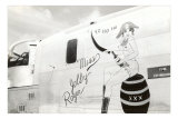 Nose Art, Miss Jolly Roger, Pin-Up Prints