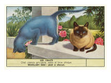 Exotic Cats Print