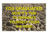 You Graduated, Flock of Sheep Prints