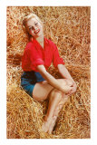 Blonde Sitting in Hay Prints