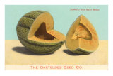 Burrell's Gem Musk Melon Poster