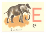 E is for Elephant Poster
