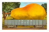 Giant Pear in Rail Car Posters