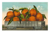 Giant Oranges in Rail Car Posters