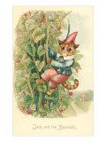 Cat as Jack and the Beanstalk Photo