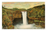 Rainbow Falls, Hilo, Hawaii Prints