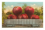 Giant Apples in Rail Car Prints