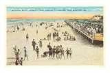 Beach, Savannah, Georgia Prints