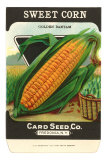 Sweet Corn Seed Packet Print