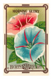 Morning Glory Seed Packet Posters