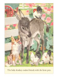Baby Donkey with Farm Animals Posters