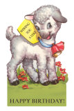 Happy Birthday, Lamb Fotografía Happy Birthday, Lamb Fotografía