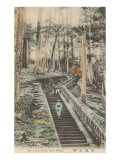 Stone Steps to Nikko Tomb Posters