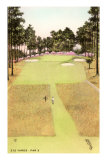 Rendering of Golf Course, 212 Yards, Par 3 Poster