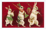 Three Rabbits Carrying Vegetables Plakaty