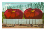 Giant Tomatoes in Rail Car Posters