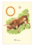 O is for Ox Print