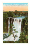 Wailua Falls, Hawaii Posters