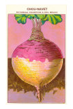 French Rutabaga Seed Packet Prints