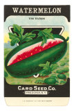 Watermelon Seed Packet Prints