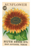 Sunflower Seed Packet Posters