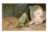 Cat Playing with Parrot Prints
