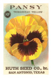 Pansy Seed Packet Pósters