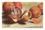 Blood Oranges Poster