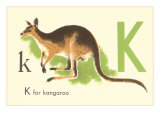 K is for Kangaroo Prints